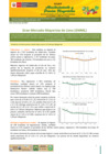Vista preliminar de documento Boletín de Abastecimiento y Precios Mayoristas GMML y MM Nº 2 -20/05/21