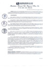 Vista preliminar de documento RGSRLS Nº133-2015