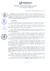Vista preliminar de documento RGSRLS Nº213-2015