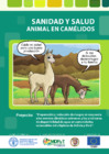 Vista preliminar de documento Sanidad y salud en camelidos