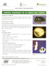 Vista preliminar de documento Control biologico de la Broca del Cafeto.pdf