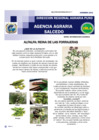 Vista preliminar de documento alfalfa reina de las forrajeras.pdf