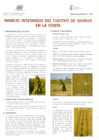 Vista preliminar de documento Manejo cultivo quinua costa.pdf