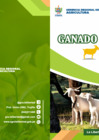 Vista preliminar de documento BOLETÍN CAPRINO.pdf