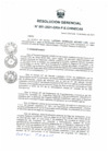 Vista preliminar de documento RG -051-2021-GRA-P.E.CHINECAS}.pdf