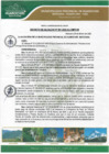 Vista preliminar de documento Decreto de Alcaldía N° 001-2020-ALC/MPH-M