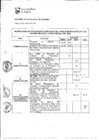 Vista preliminar de documento 2. Cronograma de actividades del Presupuesto Participativo del año 2020