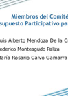 Vista preliminar de documento 10. Miembros del Comité de Vigilancia del Presupuesto Participativo para el año 2020