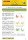 Vista preliminar de documento Boletín de Abastecimiento y Precios Mayoristas GMML y MM Nº 2 -24/05/21