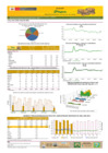 Vista preliminar de documento Boletín de volumen y precio de PAPA 24/05/21