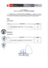 Vista preliminar de documento Fe de erratas de la Resolución Jefatural N° 101-2021-PERÚ COMPRAS
