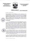 Vista preliminar de documento Resolución N° 0004-2019/SBN-DGPE