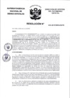 Vista preliminar de documento Resolución N° 0040-2019/SBN-DGPE