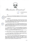 Vista preliminar de documento RD_2015_119_COPESCO