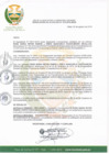 Vista preliminar de documento Resolucion-de-Alcaldia-375-2019-MDM.pdf