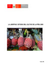 Vista preliminar de documento EL CULTIVO DE LA PIÑA EN LA LIBERTAD 2000.pdf