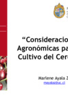 Vista preliminar de documento Marlene Ayala-Cerezos-Chile_0.pdf