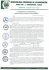 Vista preliminar de documento RA-293-2021-MPLC/A