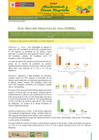 Vista preliminar de documento Boletín de Abastecimiento y Precios Mayoristas GMML y MM Nº 2 -26/05/21