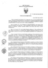 Vista preliminar de documento RD 52-2021