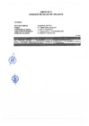 Vista preliminar de documento Anexo Nº2