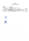 Vista preliminar de documento Anexo Nº 1