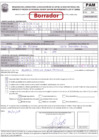 Vista preliminar de documento Borrador declaracion jurada persona adulto mayor (PAM).pdf