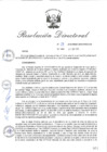Vista preliminar de documento RD_2015_131_COPESCO
