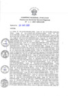 Vista preliminar de documento 172-2021-GG.pdf
