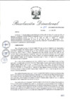 Vista preliminar de documento RD_2015_134_COPESCO
