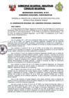 Vista preliminar de documento Ordenanza Regional 451-2019