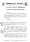 Vista preliminar de documento Ordenanza Regional 310-2012