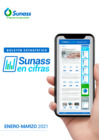 Vista preliminar de documento Sunass en cifras (enero-marzo 2021)