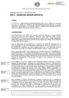 Vista preliminar de documento RDE-000093-2021-DE