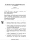 Vista preliminar de documento Proyecto del Reglamento de la Ley Nº 31041