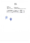 Vista preliminar de documento Anexo