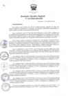 Vista preliminar de documento RER_315_2016.pdf