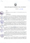 Vista preliminar de documento RER_312_2016.pdf