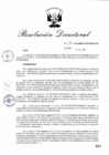 Vista preliminar de documento RD_2015_175_COPESCO