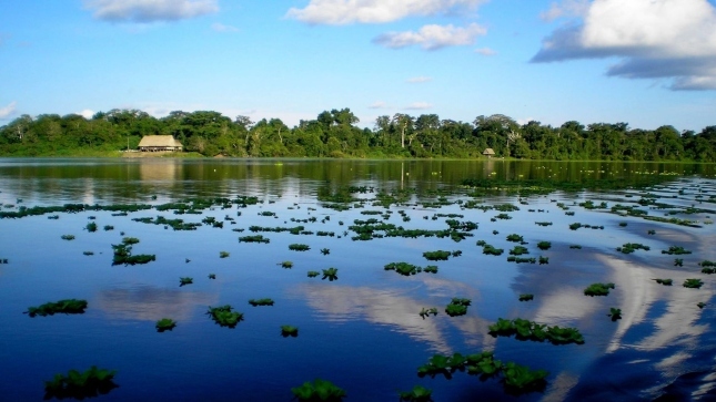 Imagen JPG de un río de la selva del Perú.