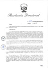 Vista preliminar de documento RD_2015_203_COPESCO
