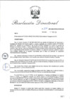 Vista preliminar de documento RD_2015_207_COPESCO
