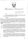 Vista preliminar de documento RD_2015_208_COPESCO