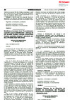 Vista preliminar de documento R.M. N° 065-2021-MTC/01