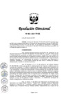 Vista preliminar de documento RD 0063-2021-TP-DE.pdf