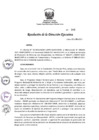Vista preliminar de documento RDE 45-2021.pdf