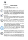 Vista preliminar de documento ORDENANZA N°454-2021-MDL.pdf