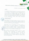 Vista preliminar de documento RESOLUCIÓN DE GERENCIA GENERAL Nº 022-2009-CVH-GG