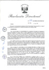 Vista preliminar de documento RD_2015_226_COPESCO