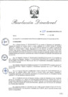 Vista preliminar de documento RD_2015_229_COPESCO